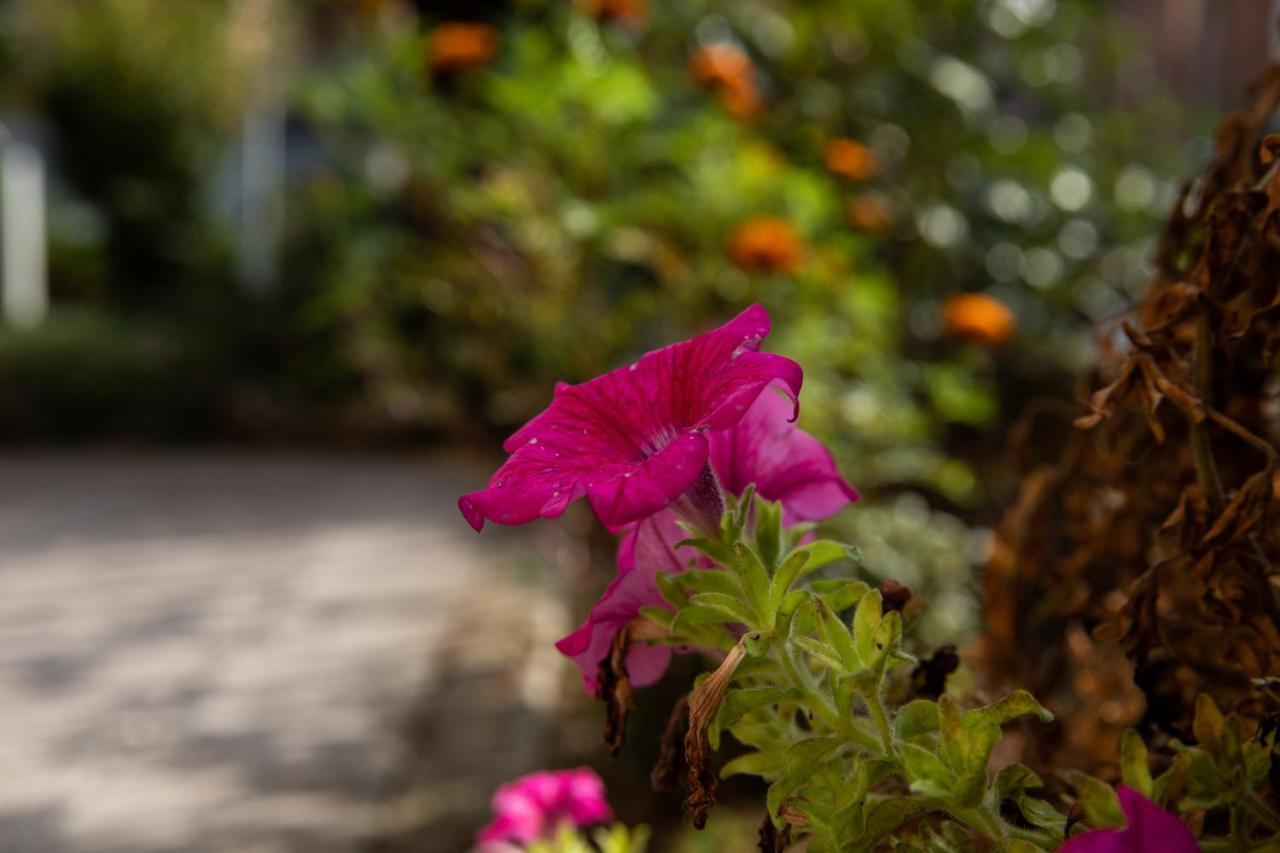 Bloom As You Are Bolonia Exterior foto